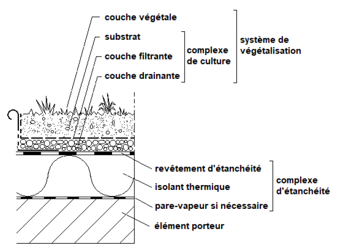 Schéma d'un complexe de culture sur toiture