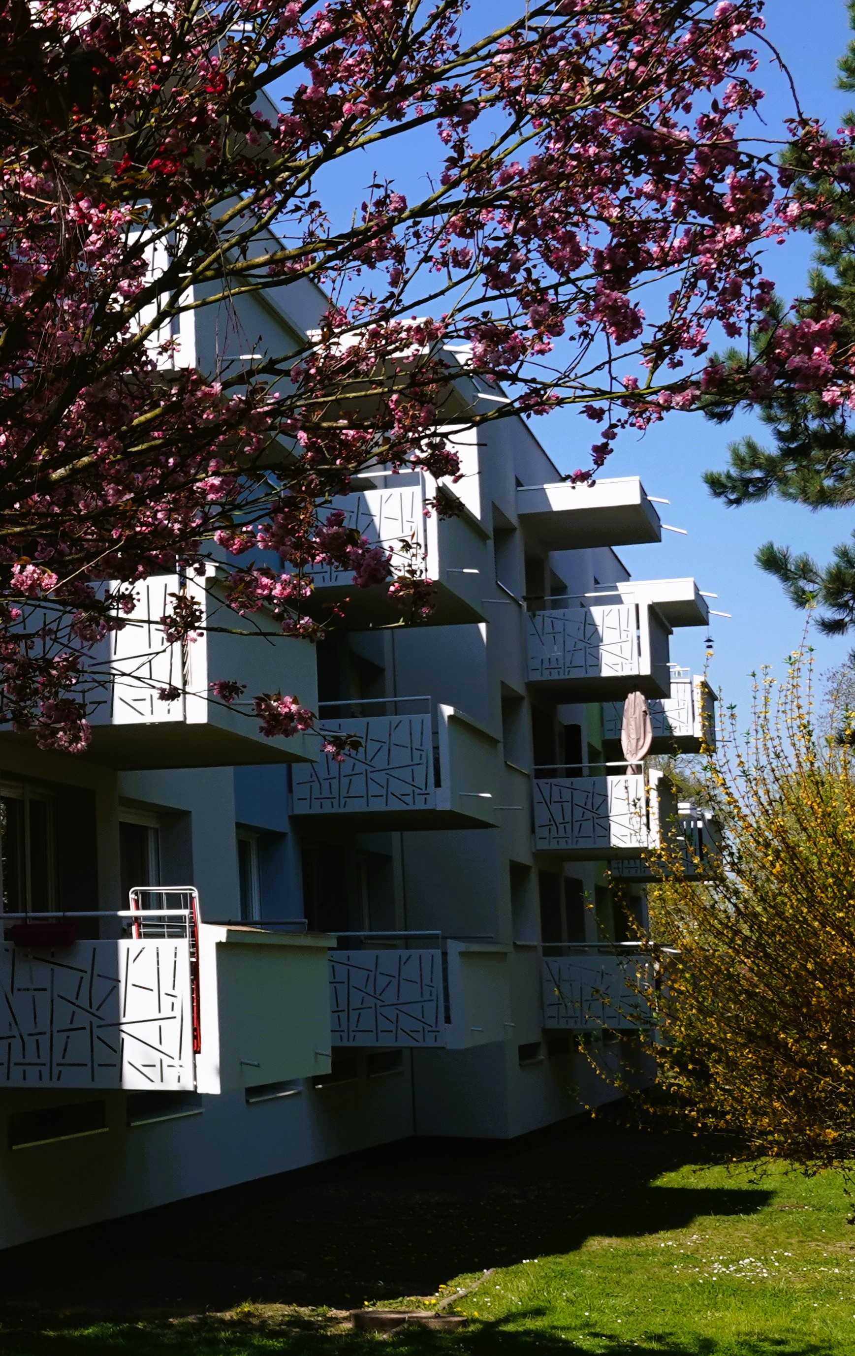 ALEC du Pays Messin Espace Conseil du Pays Messin (57)